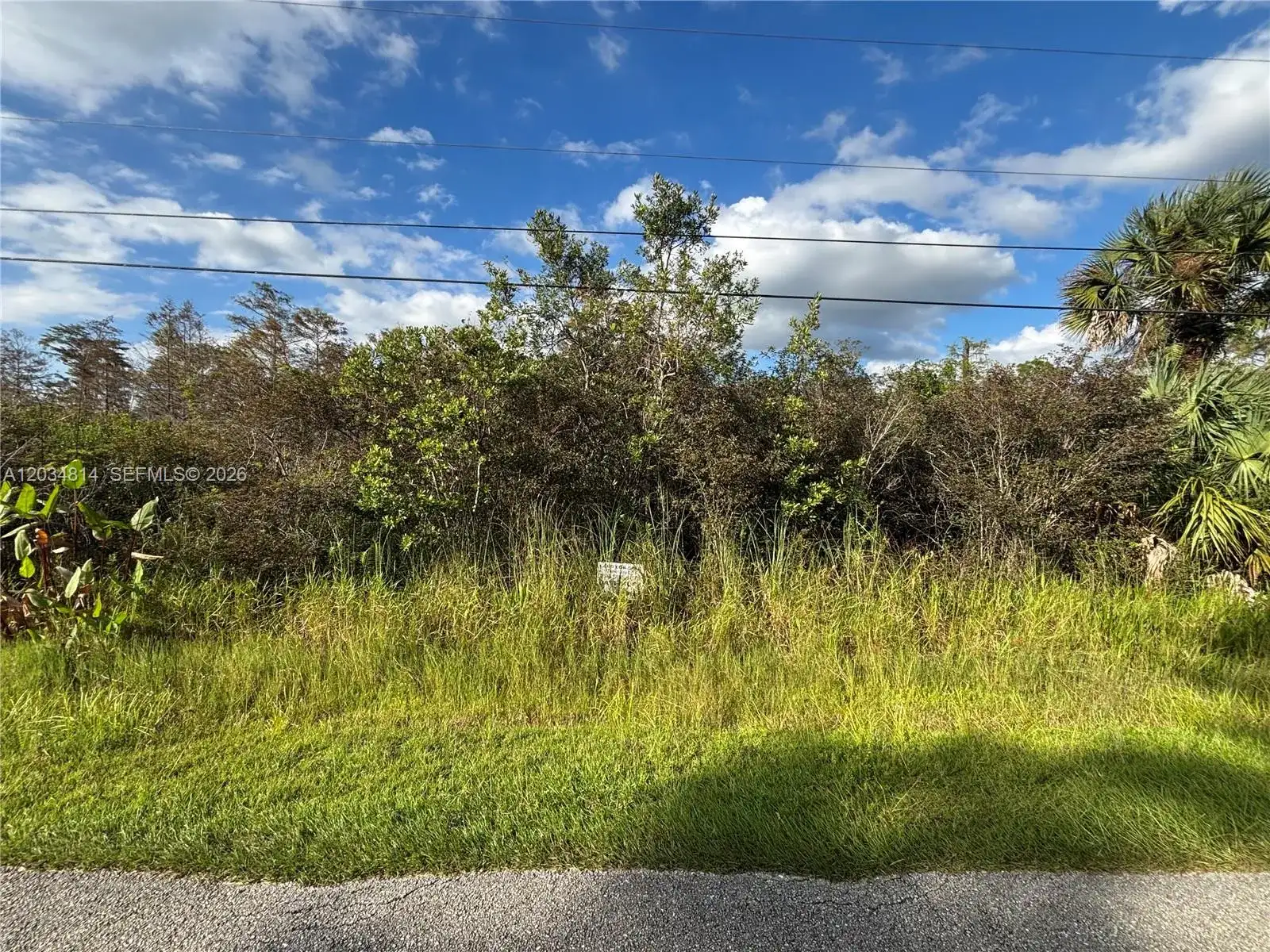 XXX.37 TH AVE NE, Naples FL 34120 photo 4