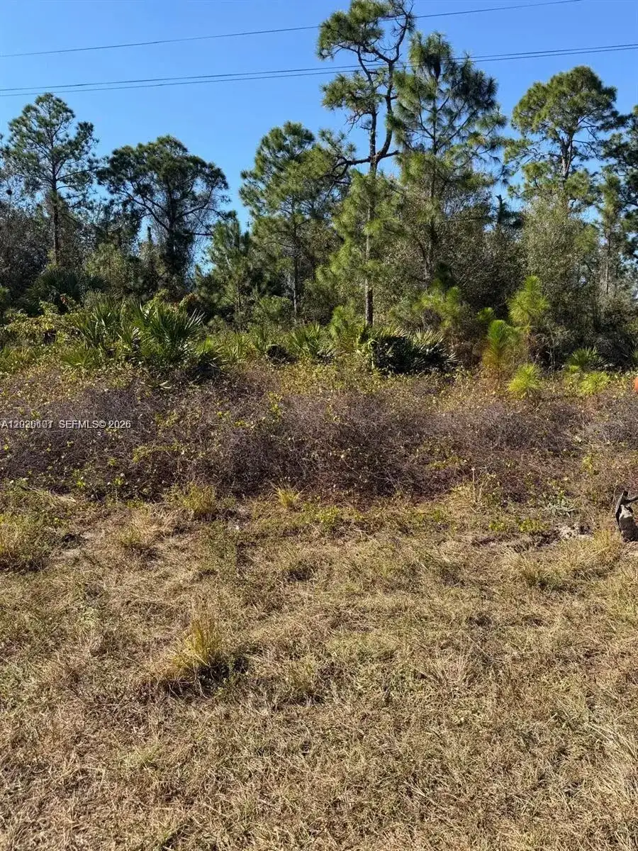 216 Columbus, Lehigh Acres FL 33974 photo 3