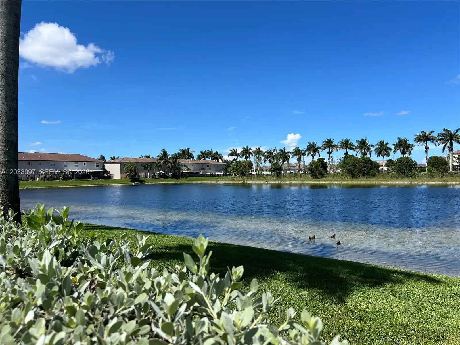 2555 SW 147th Path # 2555, Miami FL 33185 photo 3