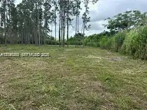 19440 SW 332 St, Homestead FL 33034 photo 3
