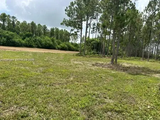 19440 SW 332 St, Homestead FL 33034 photo 4