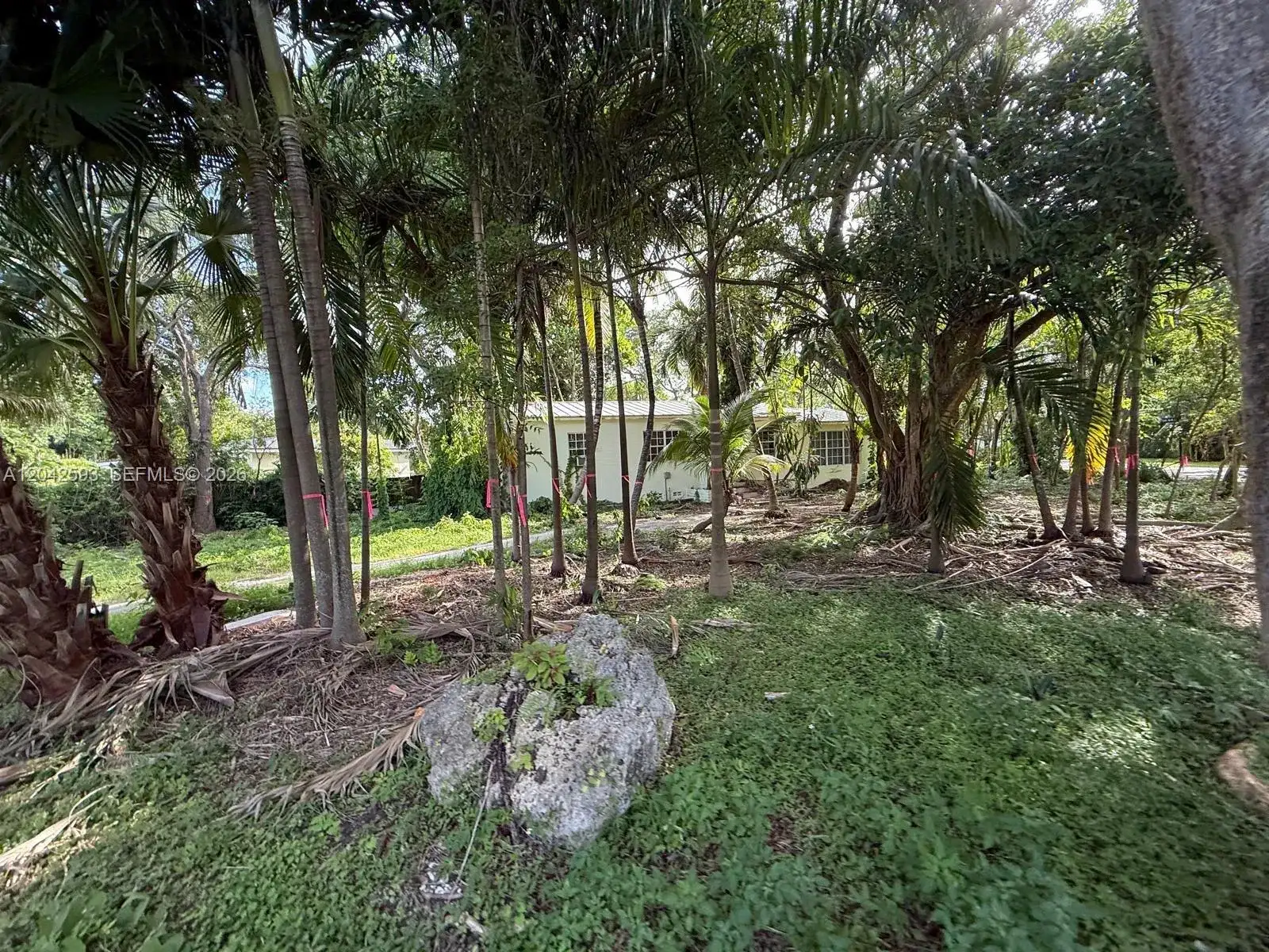 6600 SW 64th Ct, South Miami FL 33143 photo 2