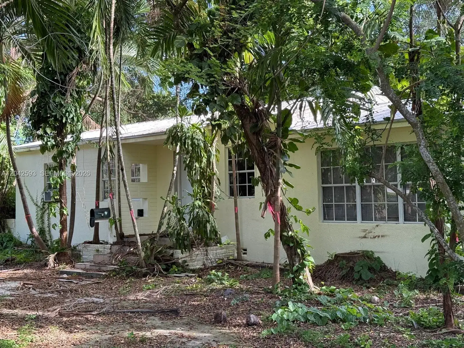 6600 SW 64th Ct, South Miami FL 33143 photo 3