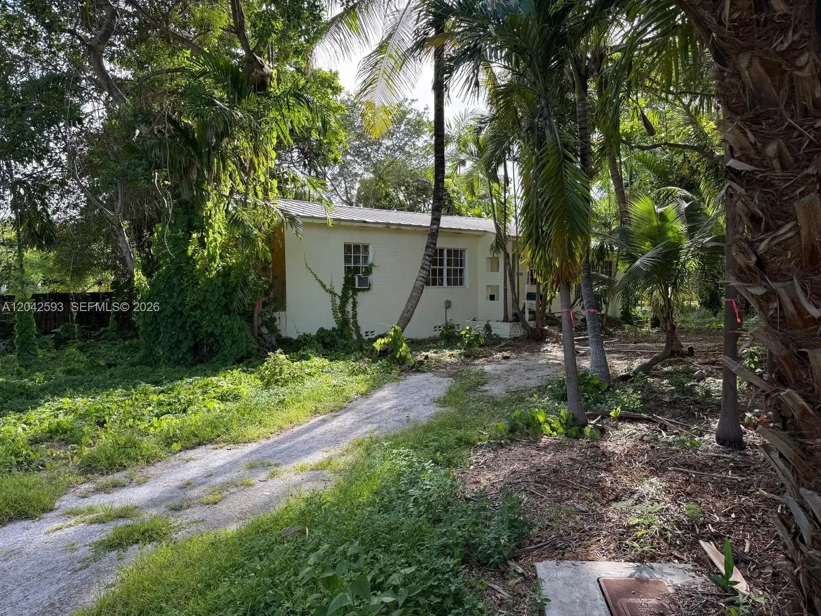 6600 SW 64th Ct, South Miami FL 33143 photo 4