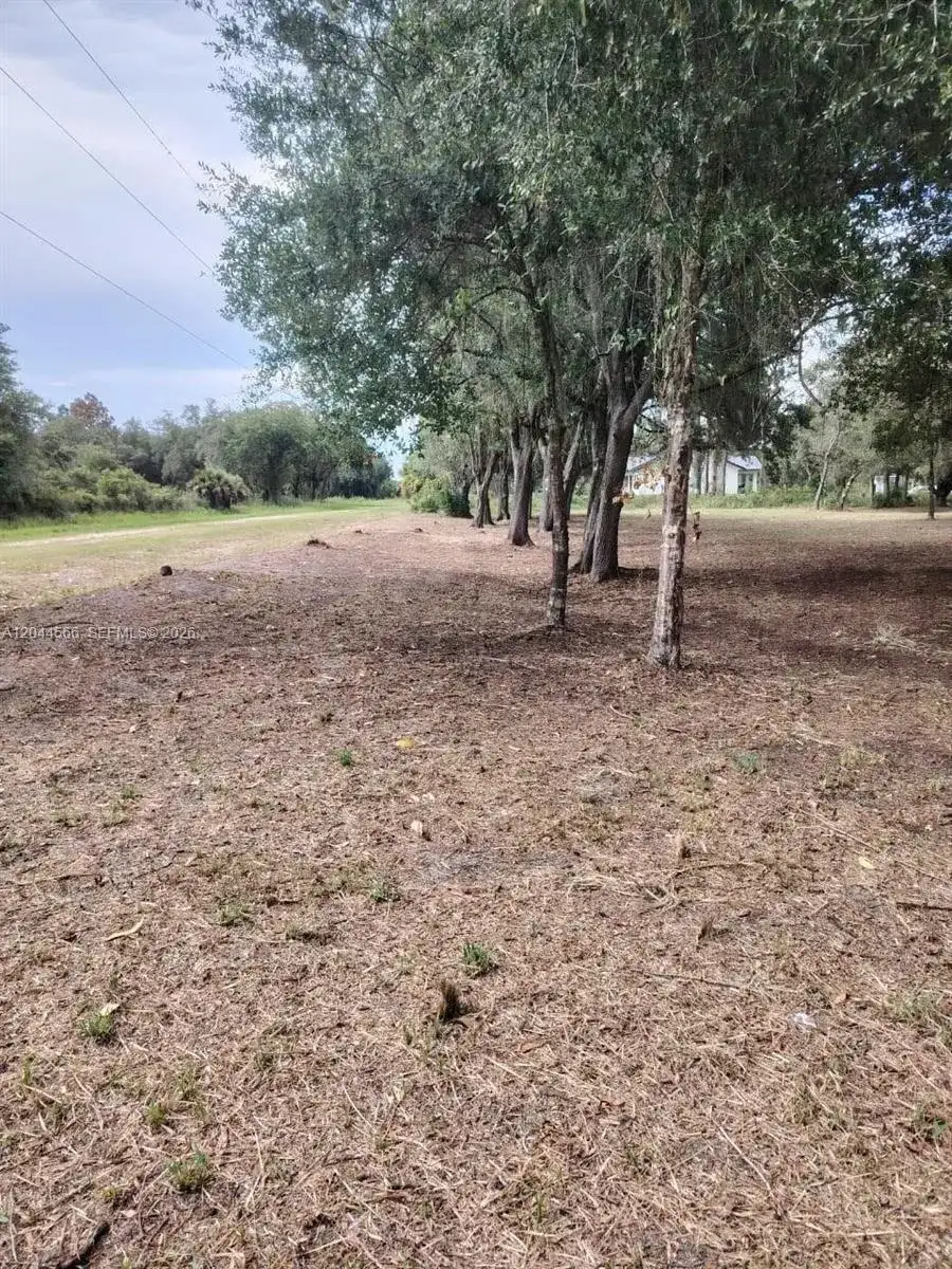 175 Avenida del Club, Clewiston FL 33440 photo 4