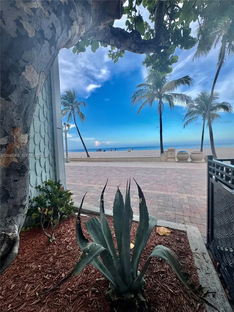 400 N Surf Rd, Hollywood FL 33019 photo 2