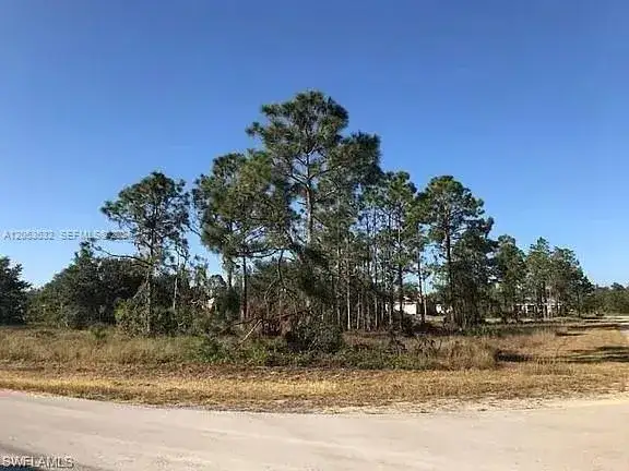 726 S Gaylord Avenue, Lehigh Acres FL 33974 photo 3