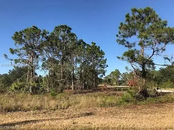 726 S Gaylord Avenue, Lehigh Acres FL 33974 photo 4