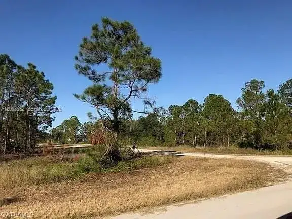 726 S Gaylord Avenue, Lehigh Acres FL 33974 photo 5