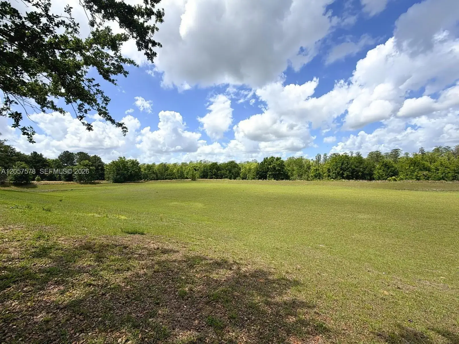 233 Aldridge Ln, Davenport FL 33897 photo 2