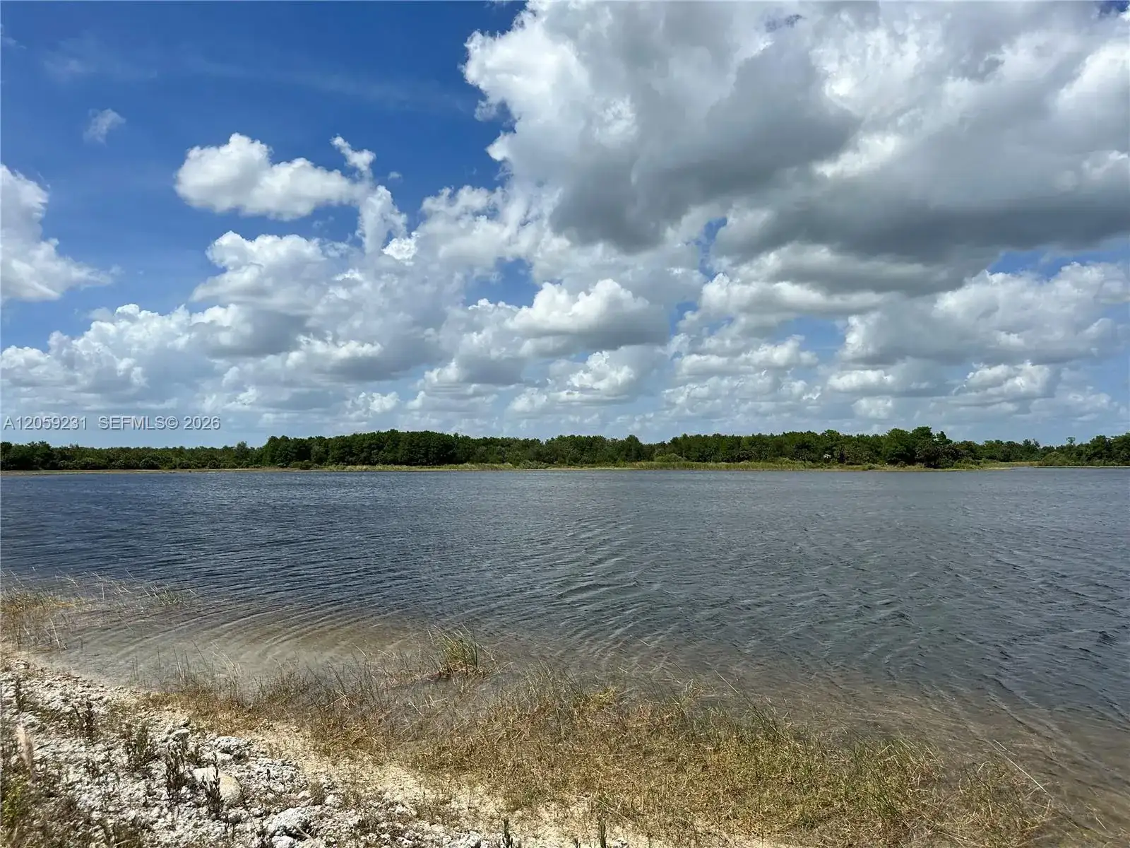 515 Shady hollow blvd W, Naples FL 34120 photo 3