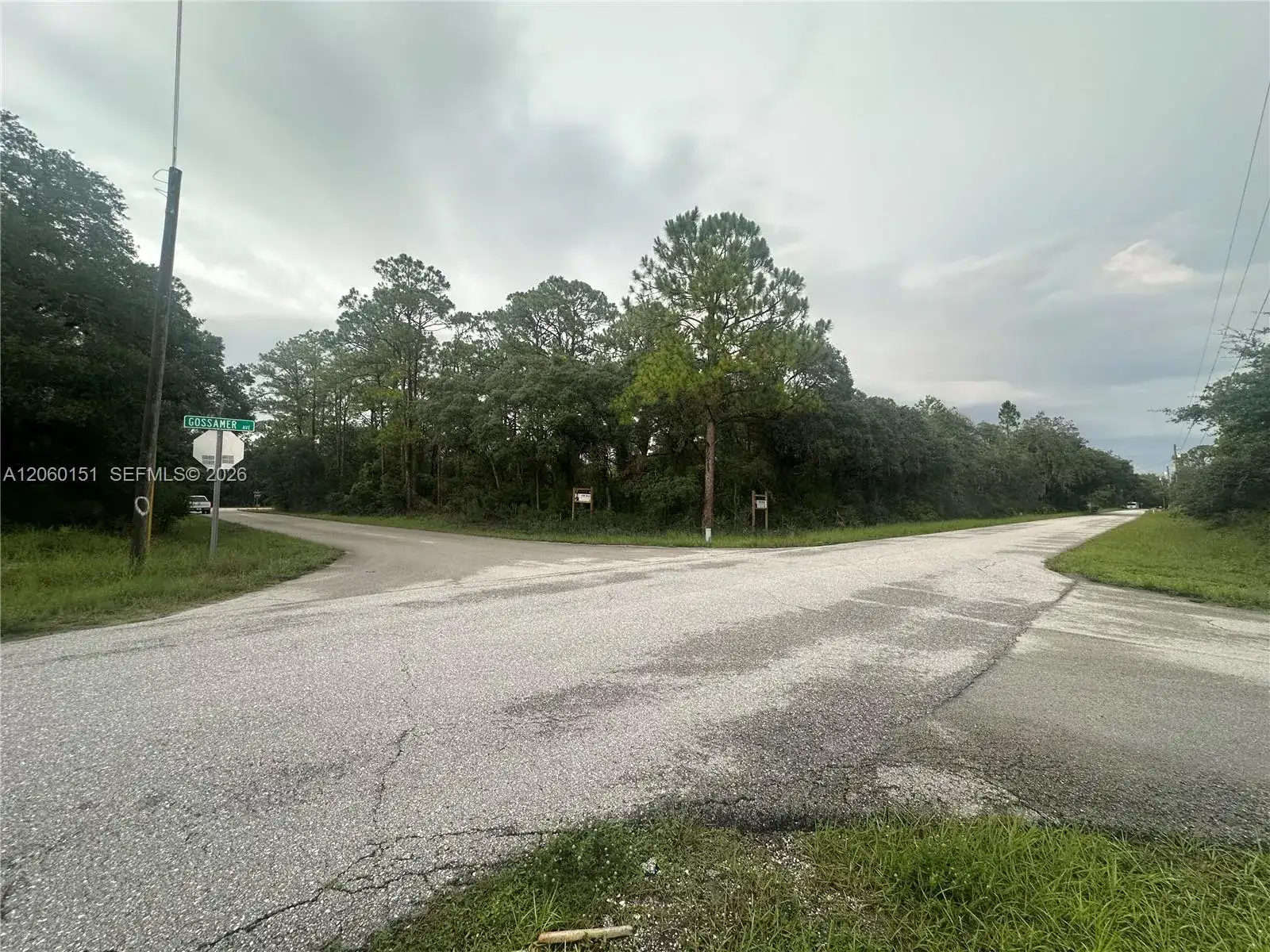 3362 Gossamer Ave, Lake Placid FL 33852 photo 5