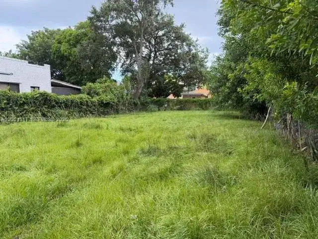 1036 NW 31st St, Miami FL 33127 photo 3