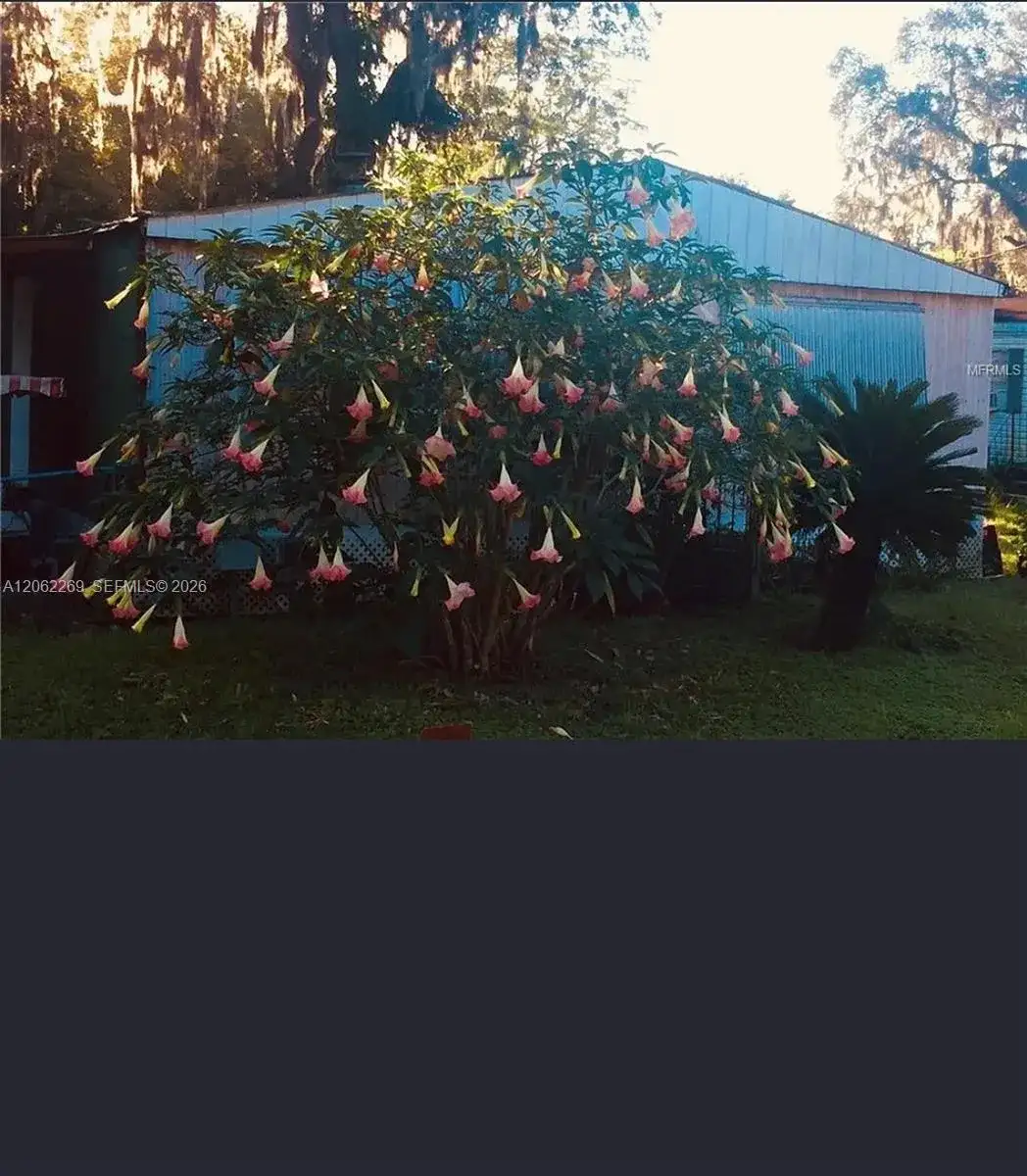 5904 S HARVEY, Riverview FL 33578 photo 5