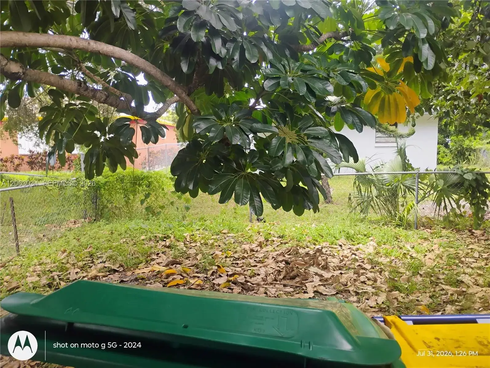 26 SW 6th Ave # 2, Dania Beach FL 33004 photo 5
