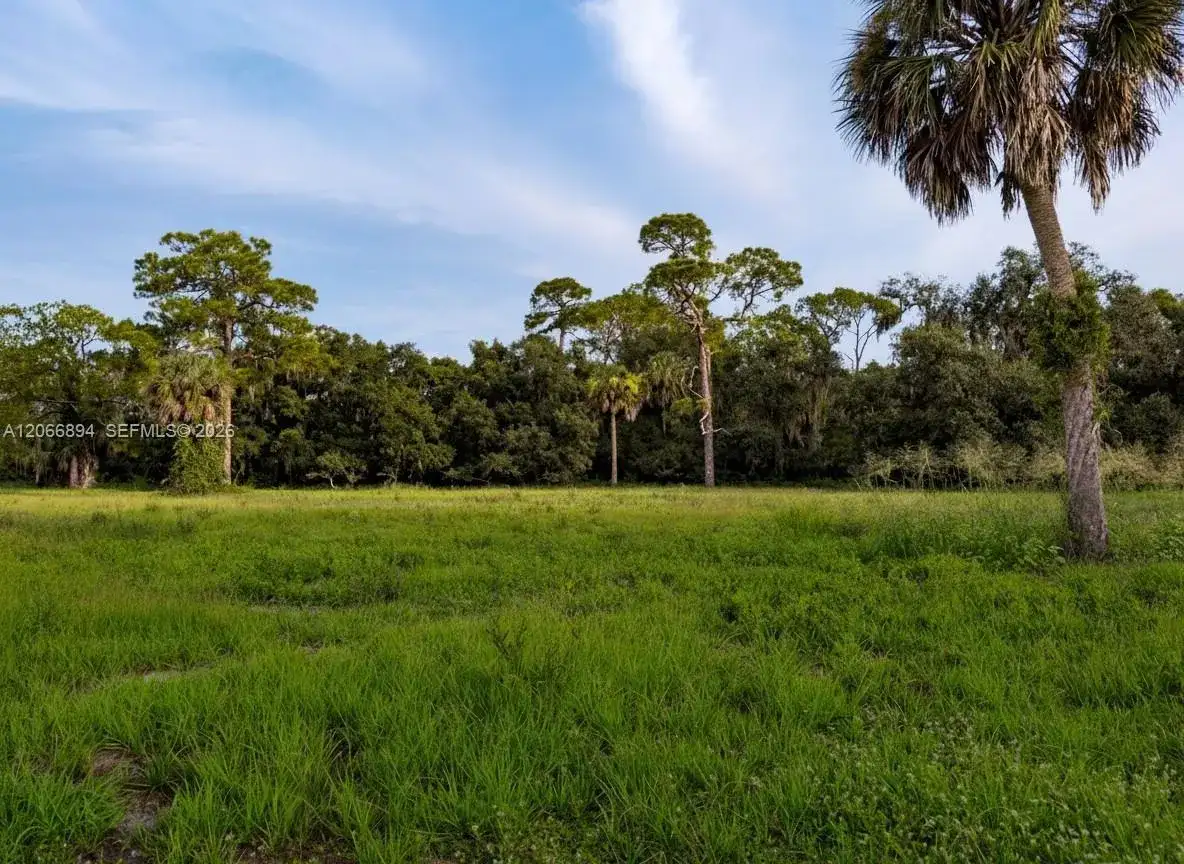 3291 Fort Denaud Rd, La Belle FL 33935 photo 2
