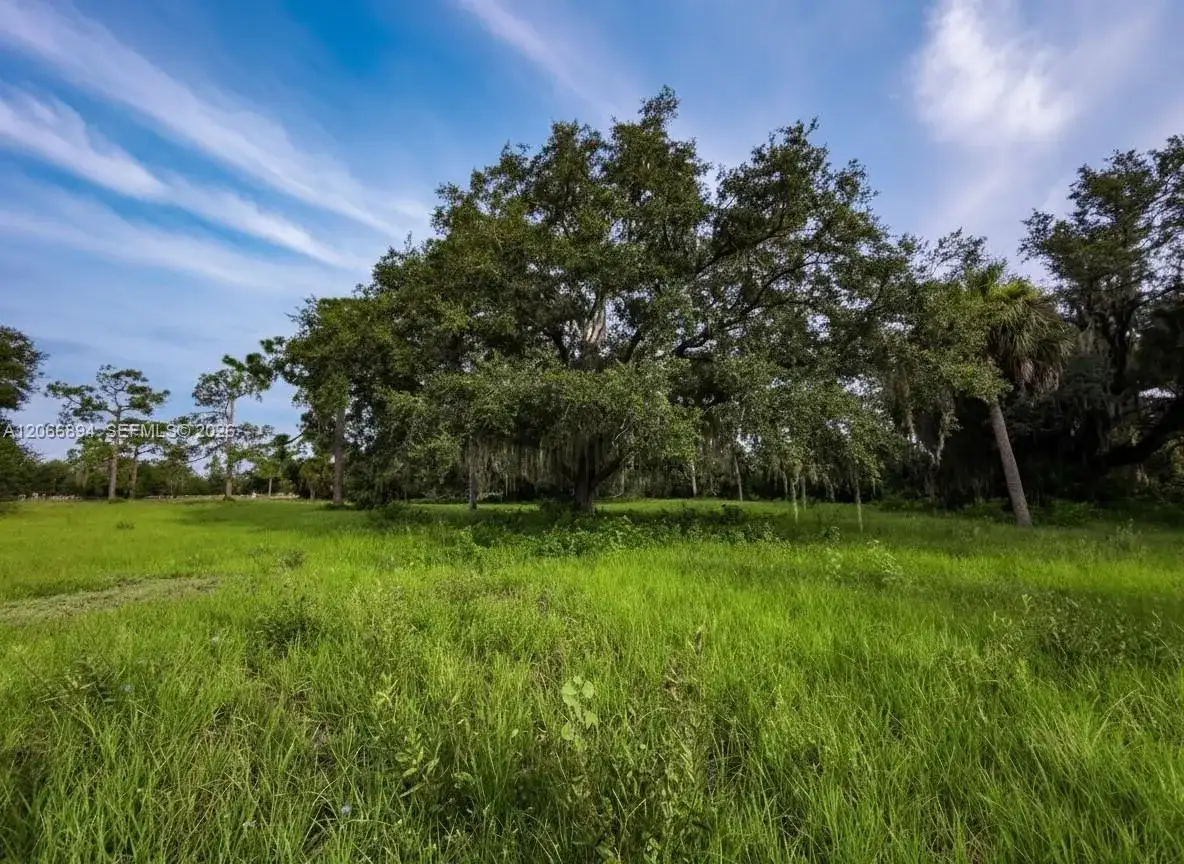 3291 Fort Denaud Rd, La Belle FL 33935 photo 3