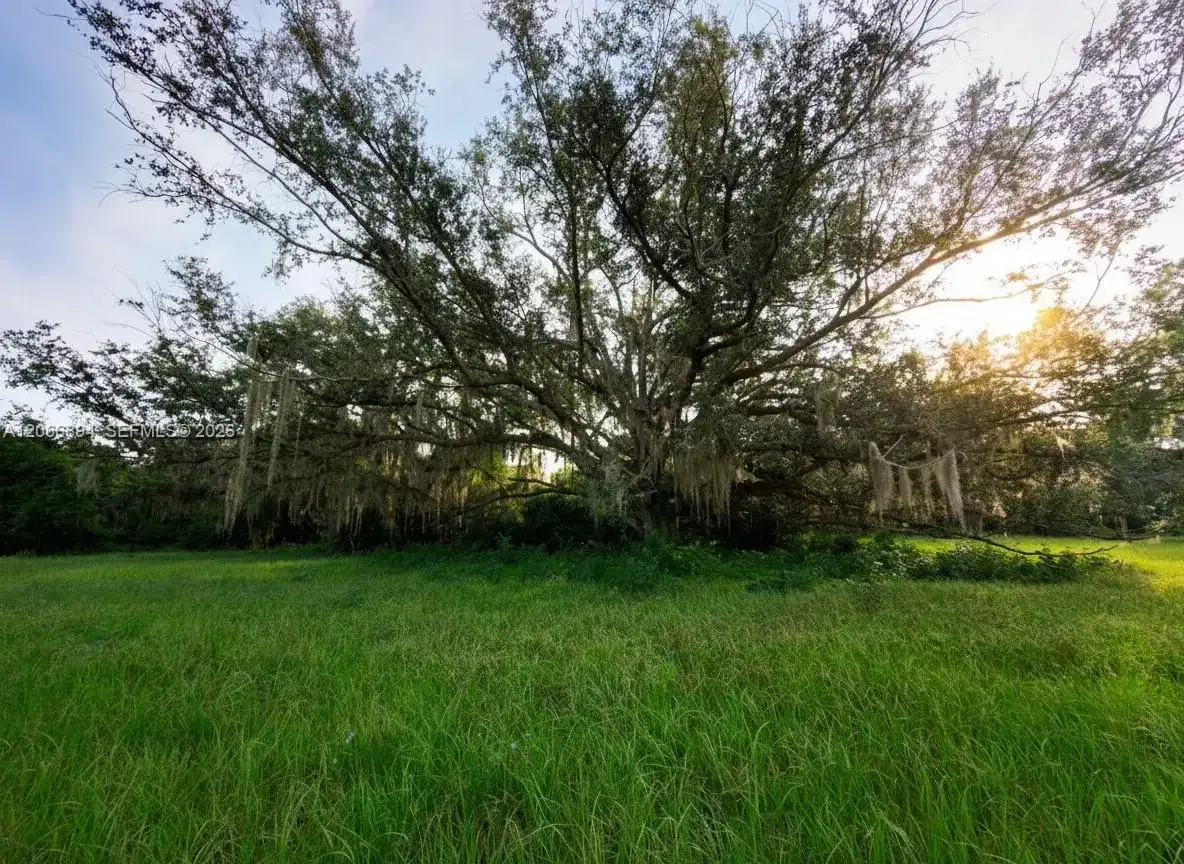 3291 Fort Denaud Rd, La Belle FL 33935 photo 4