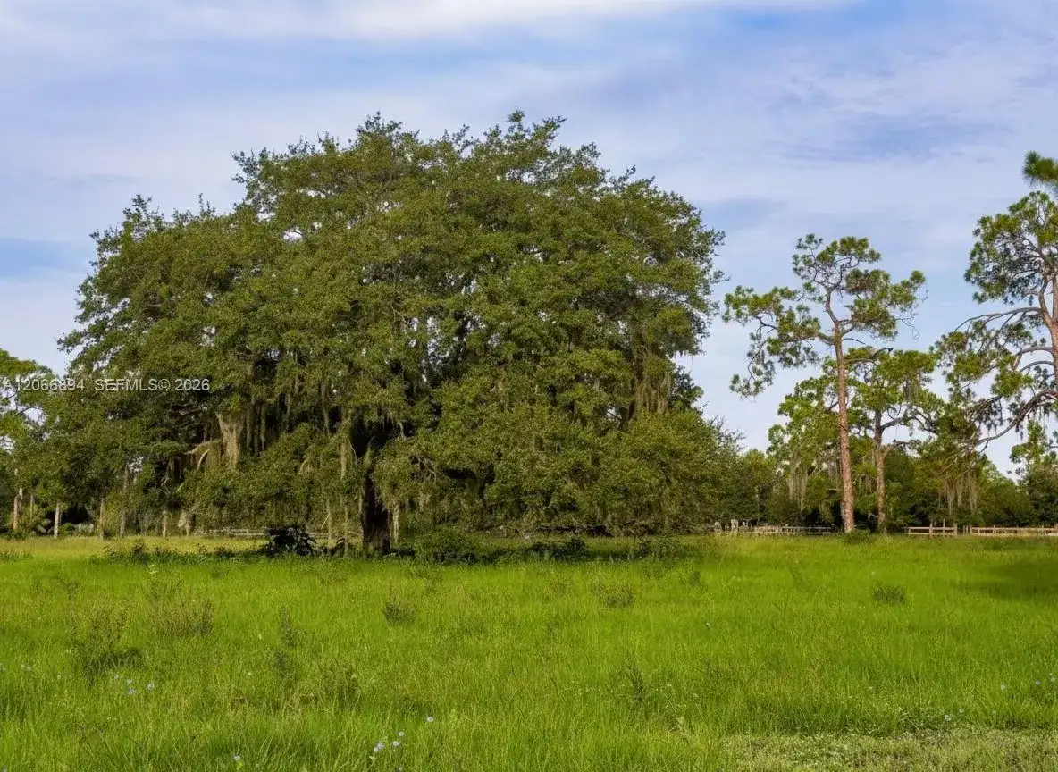 3291 Fort Denaud Rd, La Belle FL 33935 photo 5