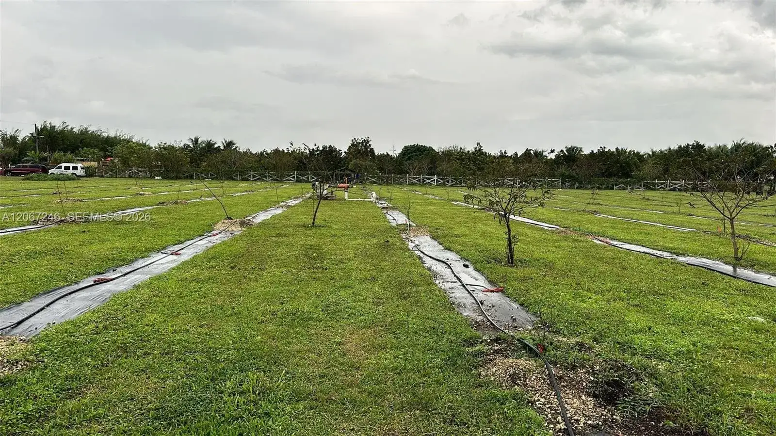 22901 SW 218 Ct, Miami FL 33170 photo 2