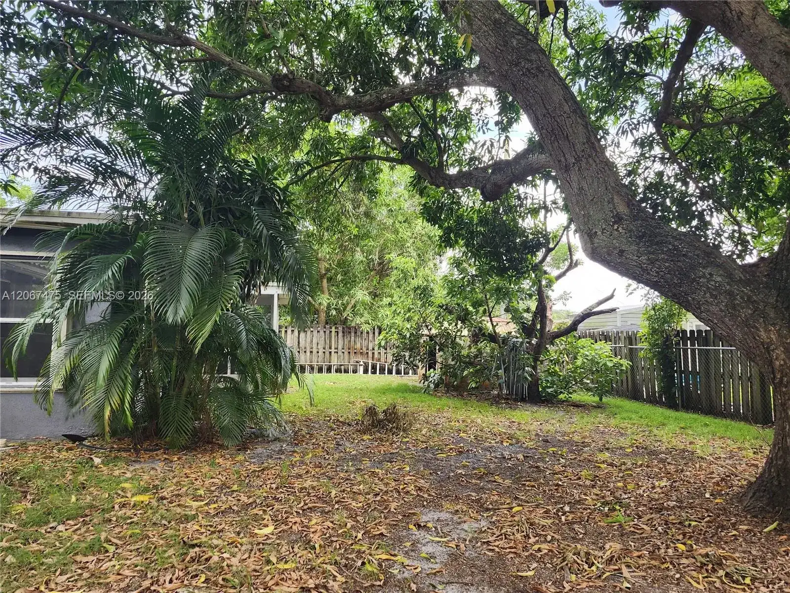 6570 Thomas St, Hollywood FL 33024 photo 3