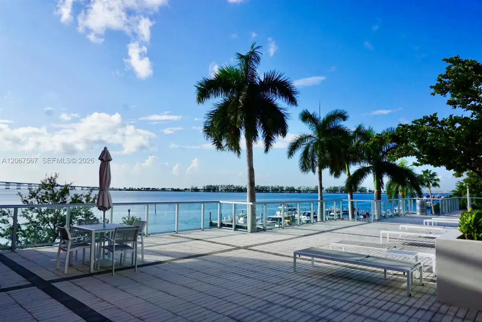 1541 Brickell Ave # A3302, Miami FL 33129 photo 3