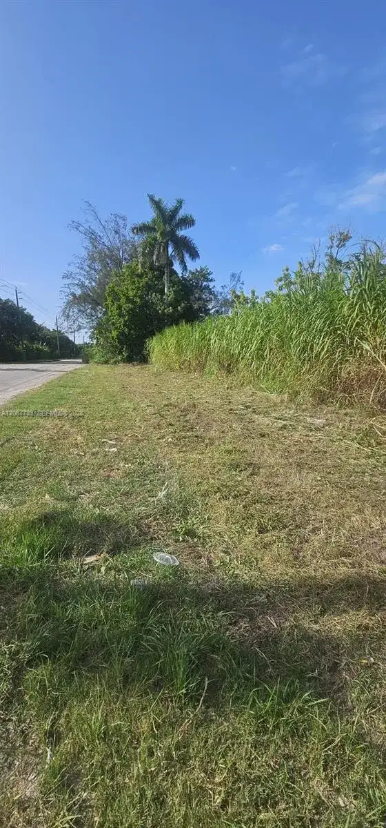 197 Ave / SW 144th Street, Miami FL 33196 photo 4