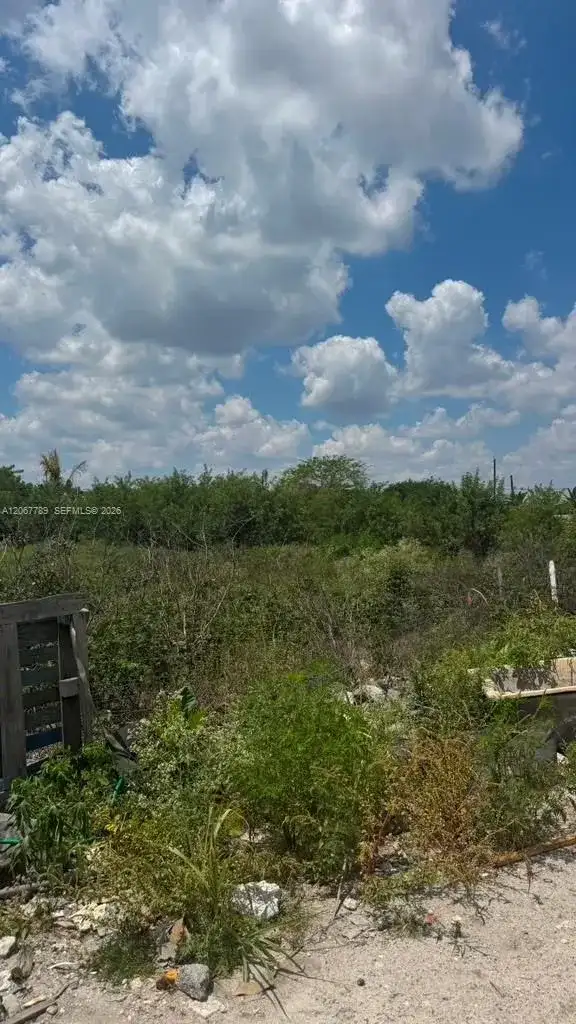 197 Ave / SW 144th Street, Miami FL 33196 photo 5