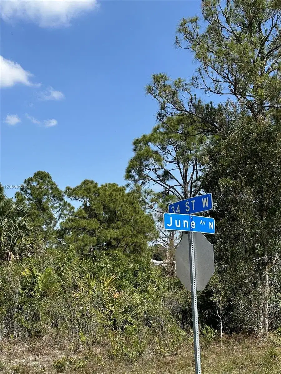 3401 June Ave N, Lehigh Acres FL 33971 photo 3