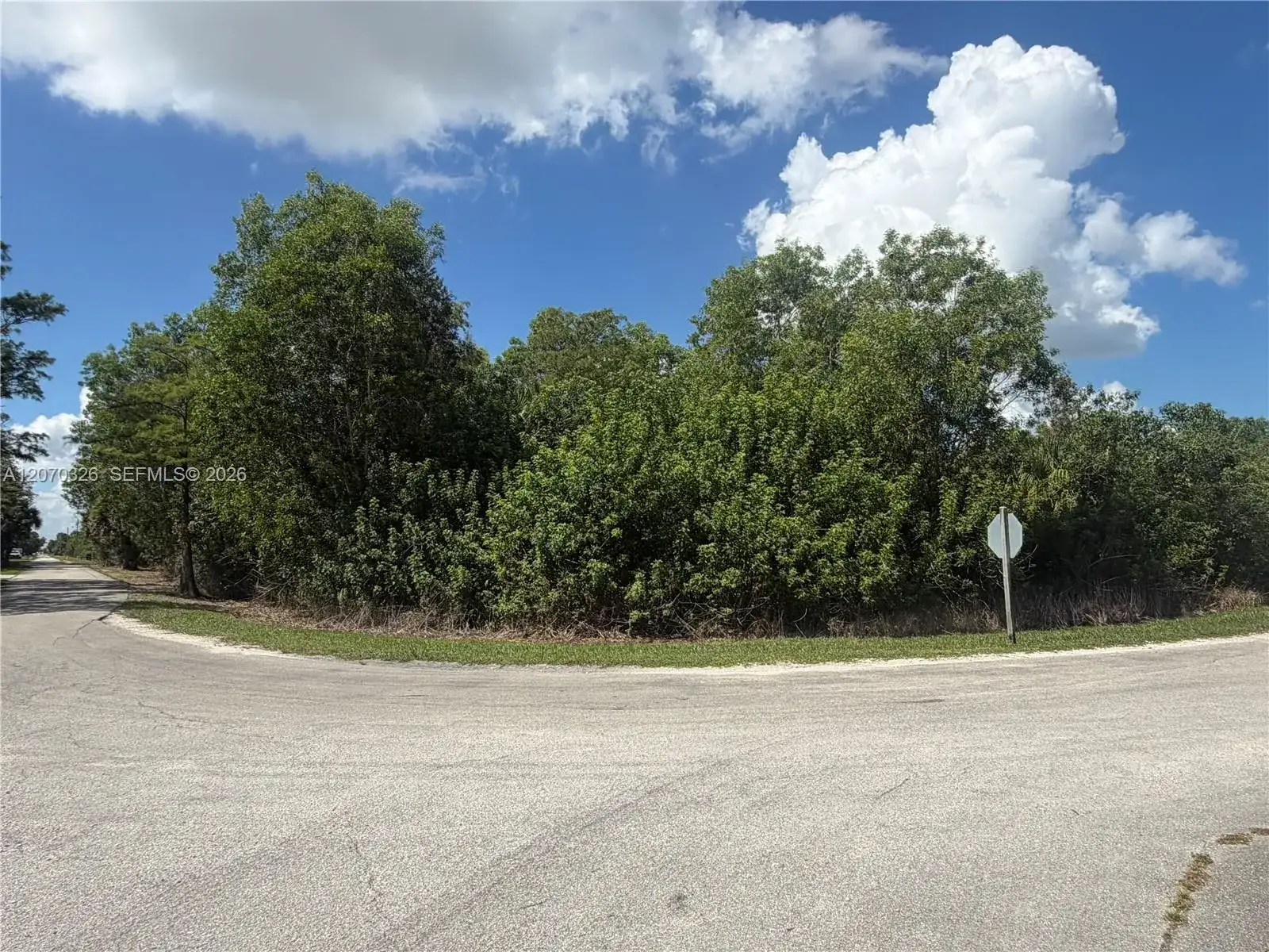 19556 Black Falcon Rd, Loxahatchee FL 33470 photo 3