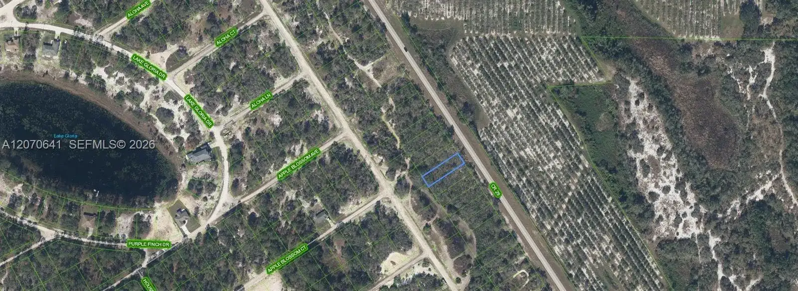 903 COUNTY ROAD 29, Lake Placid FL 33852 photo 2