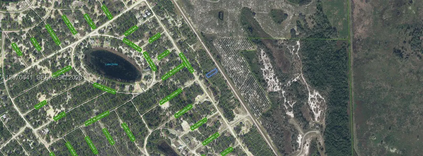 903 COUNTY ROAD 29, Lake Placid FL 33852 photo 3