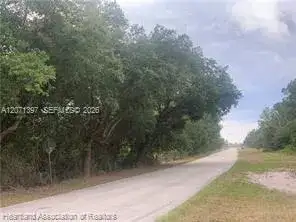 615 Wildflower Street, Lake Placid FL 33852 photo 2