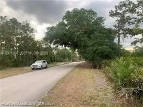 615 Wildflower Street, Lake Placid FL 33852 photo 5