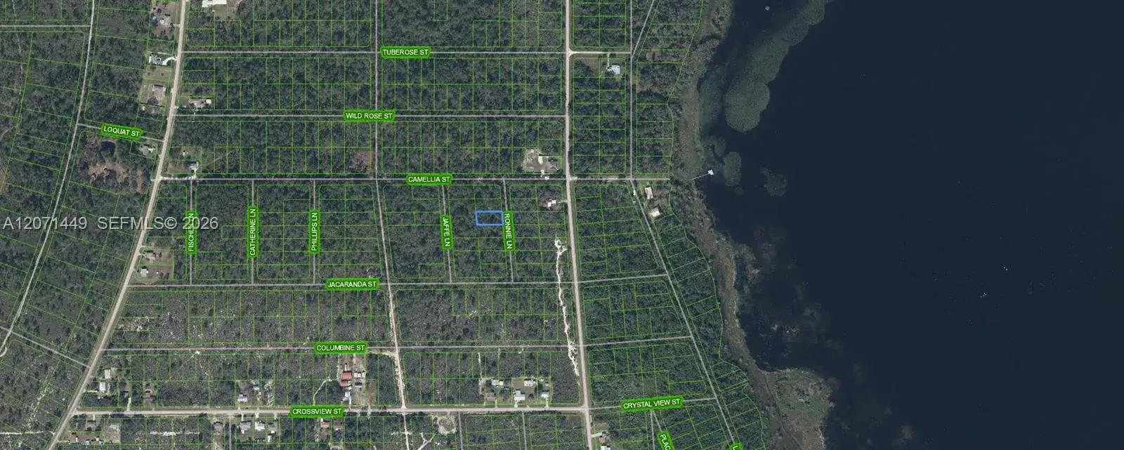 722 Ronnie Lane, Lake Placid FL 33852 photo 3