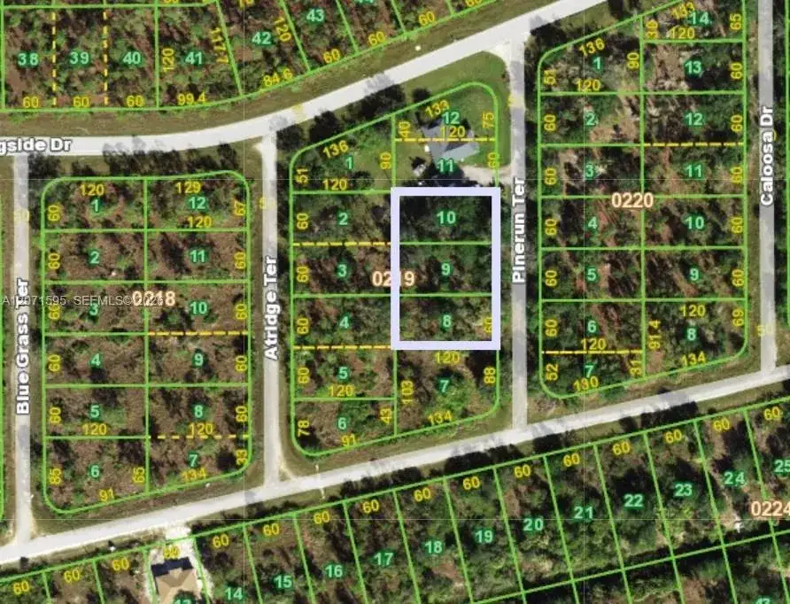 13263 Pinerun Terrace, Punta Gorda FL 33955 photo 2