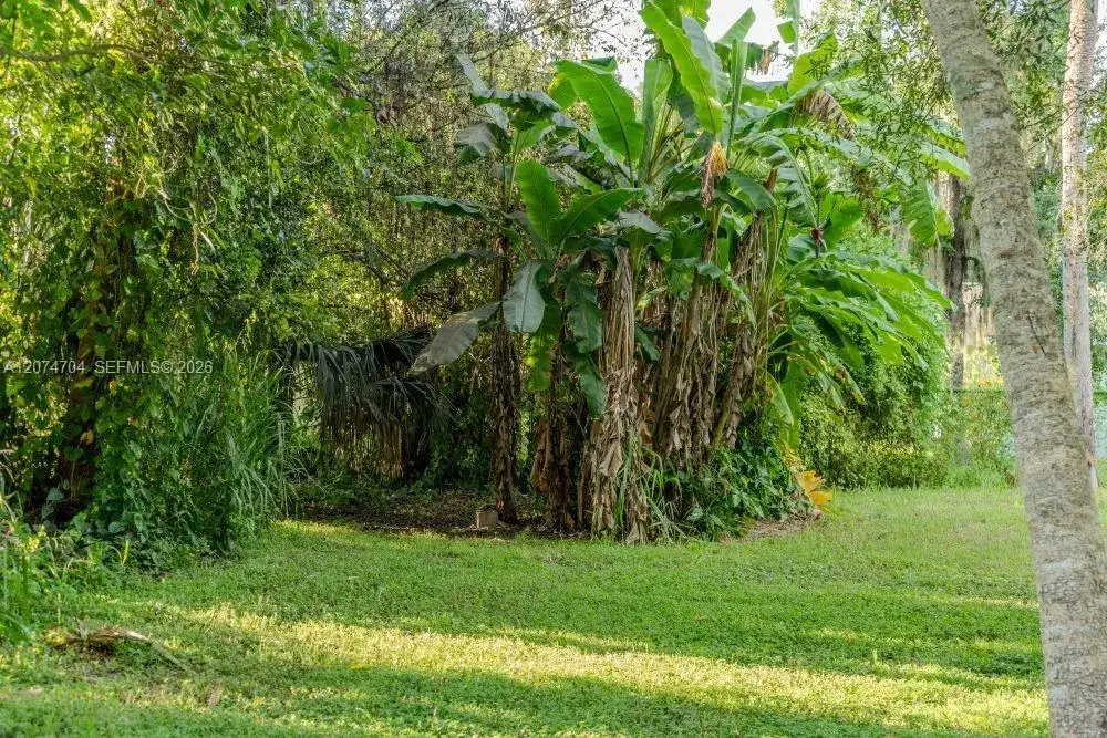 780 Washington Ave., La Belle FL 33935 photo 4