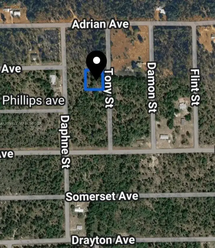 0 TOBY ST, Palatka FL 32148 photo 2