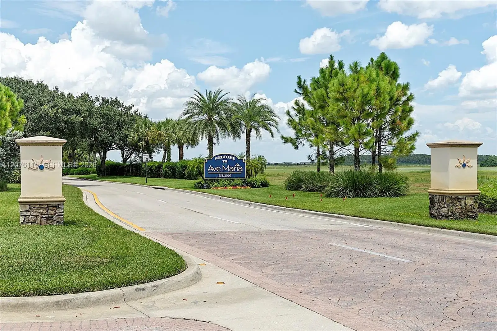 5461 Soria Ave, Ave Maria FL 34142 photo 3