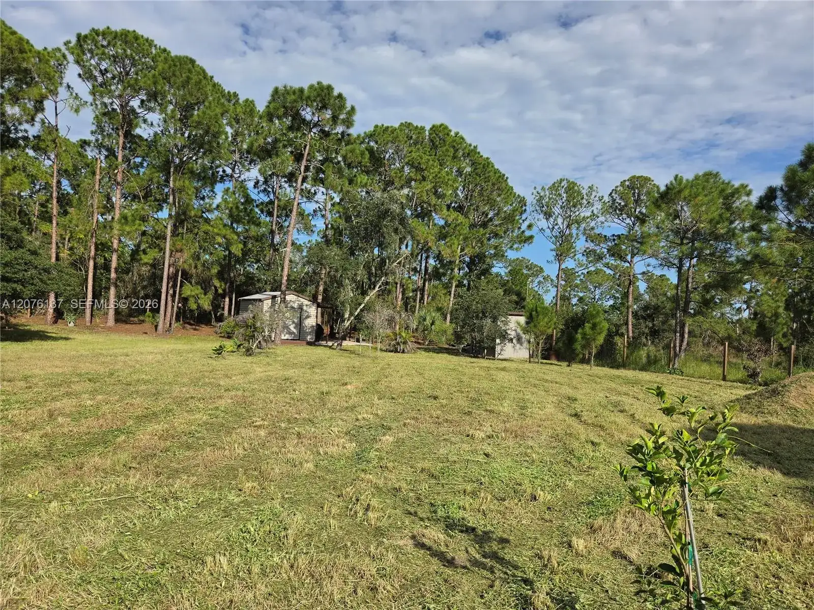 345 Rolling Hills Dr, Lake Placid FL 33852 photo 3