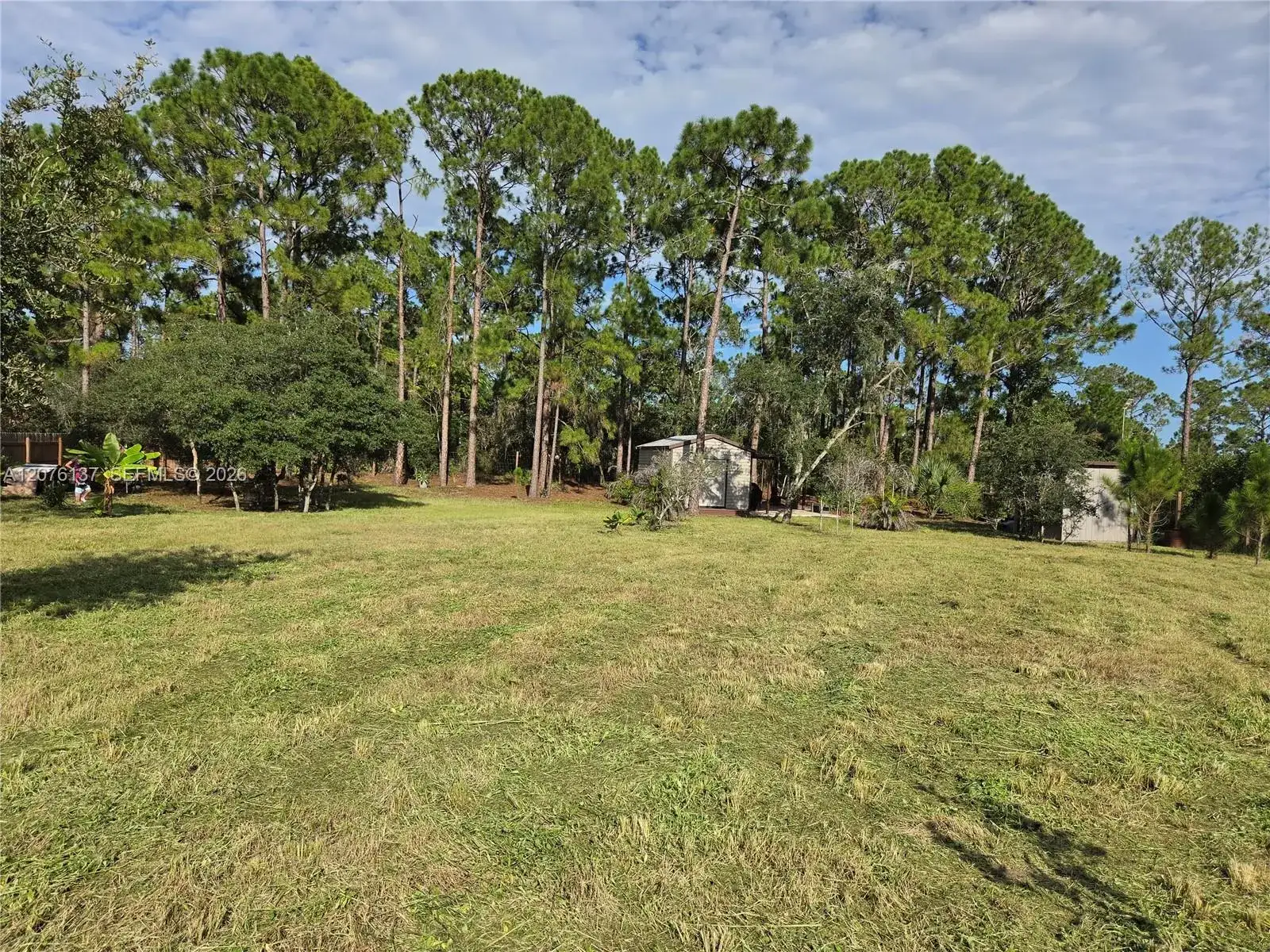 345 Rolling Hills Dr, Lake Placid FL 33852 photo 4