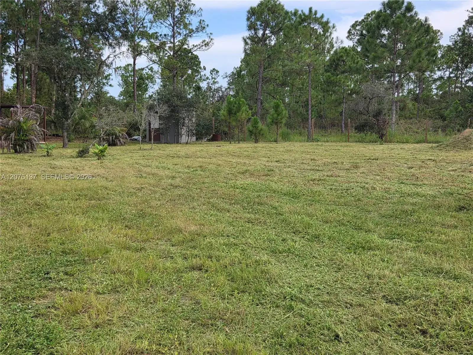 345 Rolling Hills Dr, Lake Placid FL 33852 photo 5