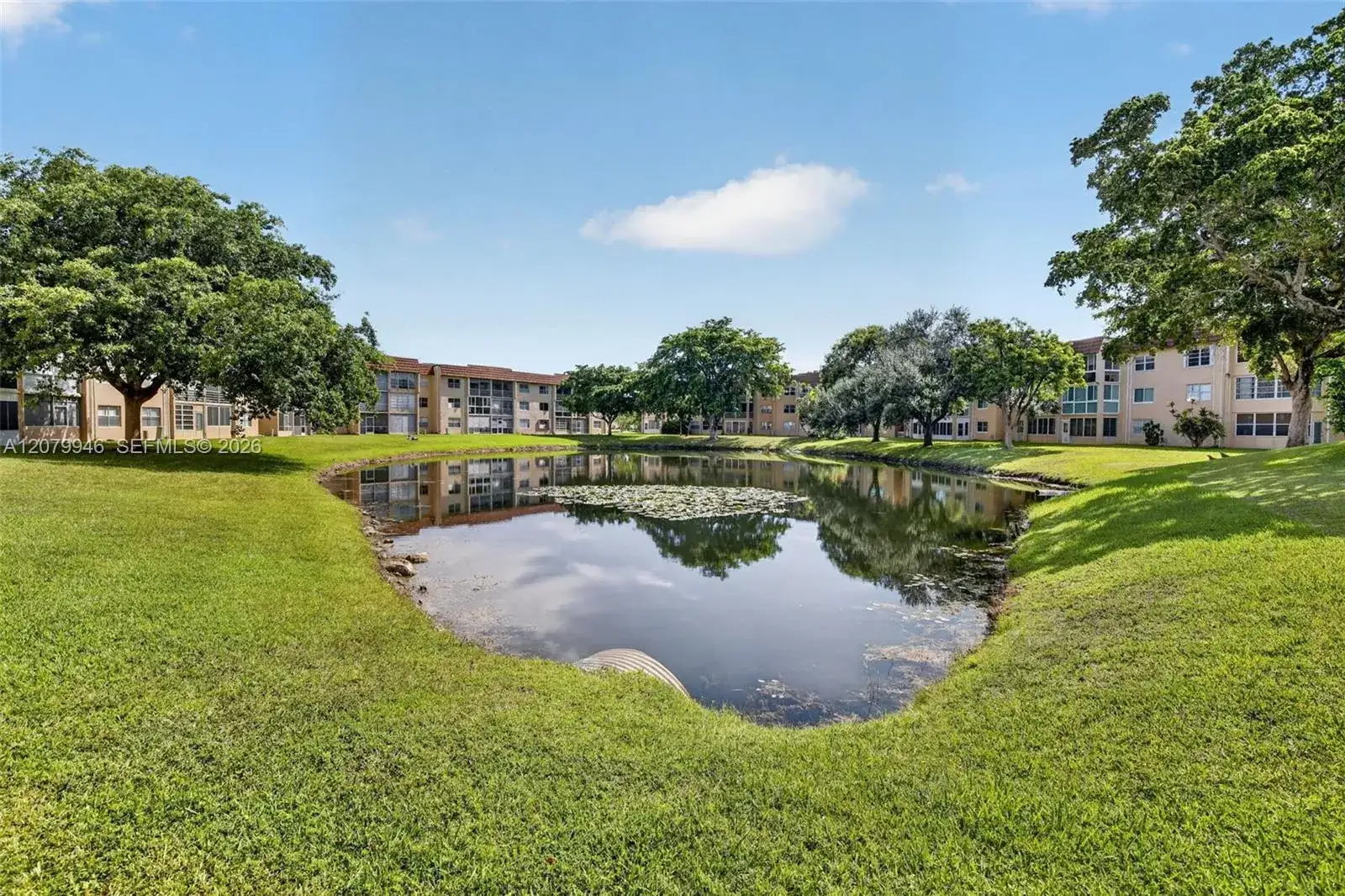9261 Sunrise Lakes Blvd # 203, Sunrise FL 33322 photo 3