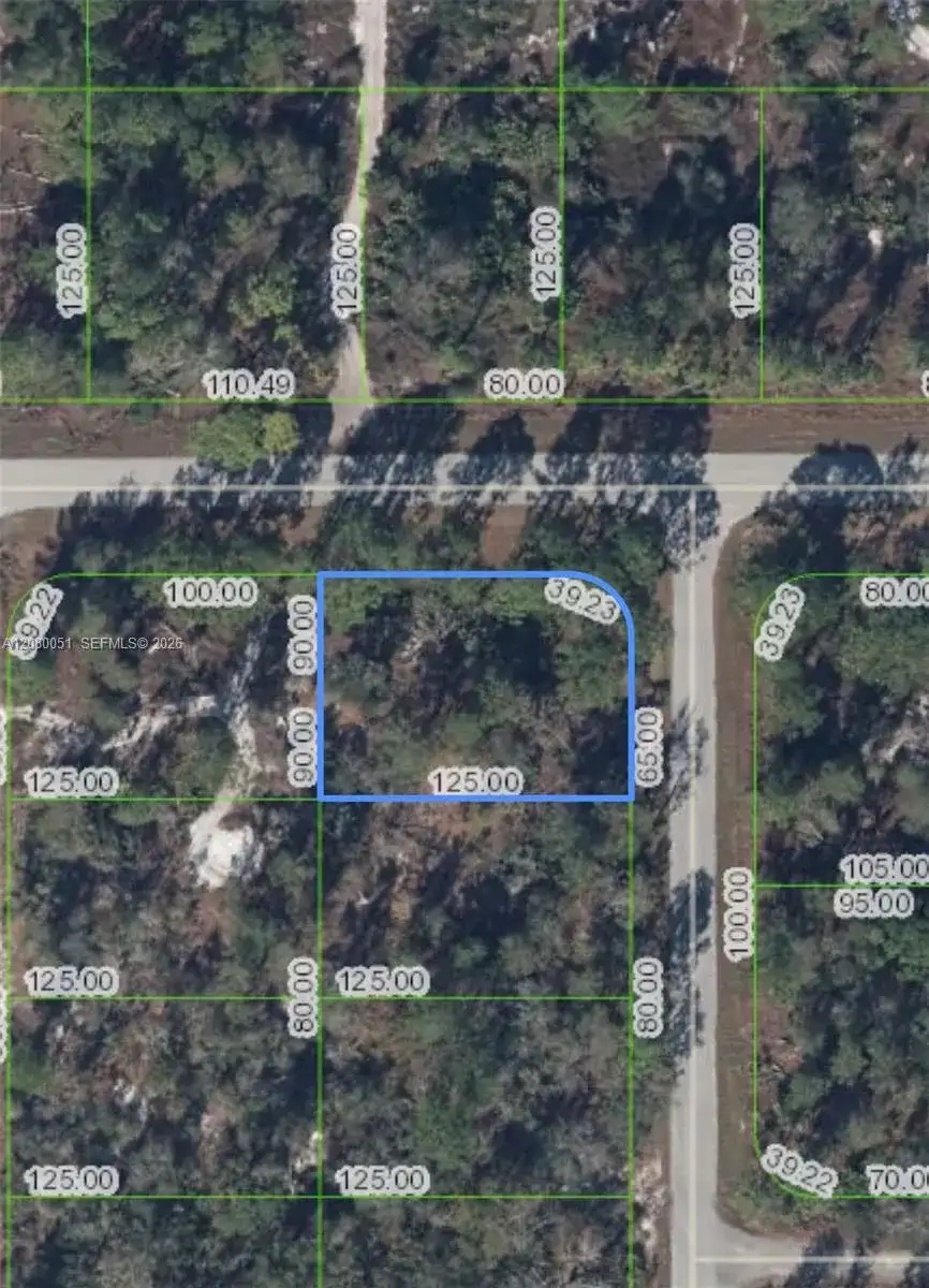 1215 Aleutian St NE, Lake Placid FL 33852 photo 2