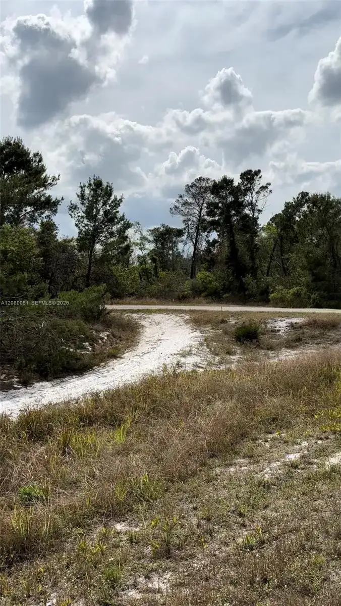 1215 Aleutian St NE, Lake Placid FL 33852 photo 3