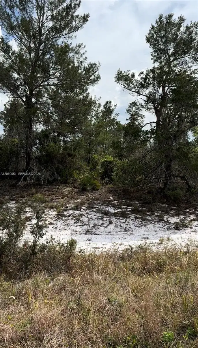 1215 Aleutian St NE, Lake Placid FL 33852 photo 4