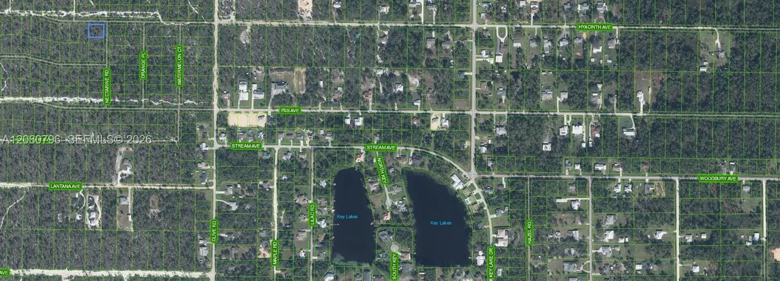 1307 Hyacinth Ave, Sebring FL 32303 photo 2