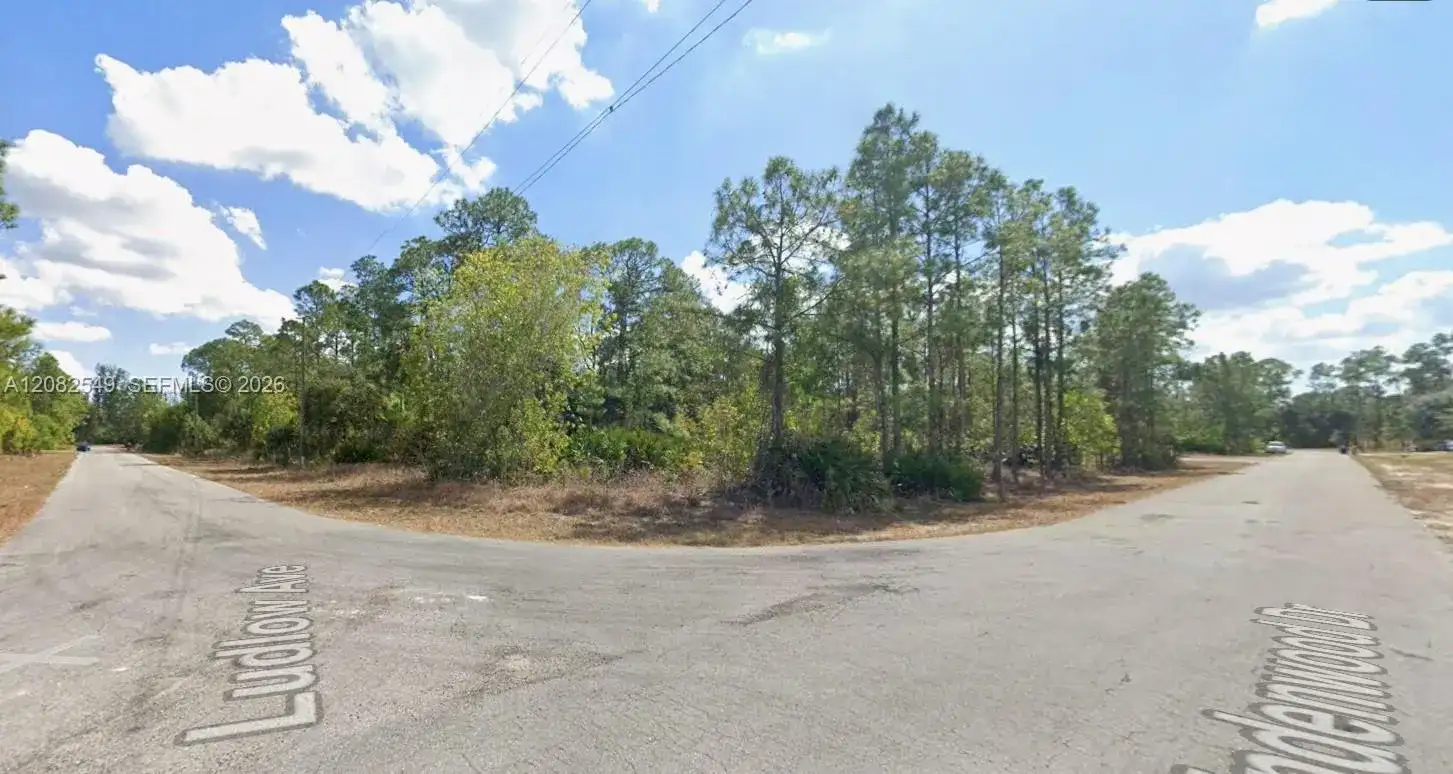 315 LUDLOW AVENUE, Lehigh Acres FL 33972 photo 2