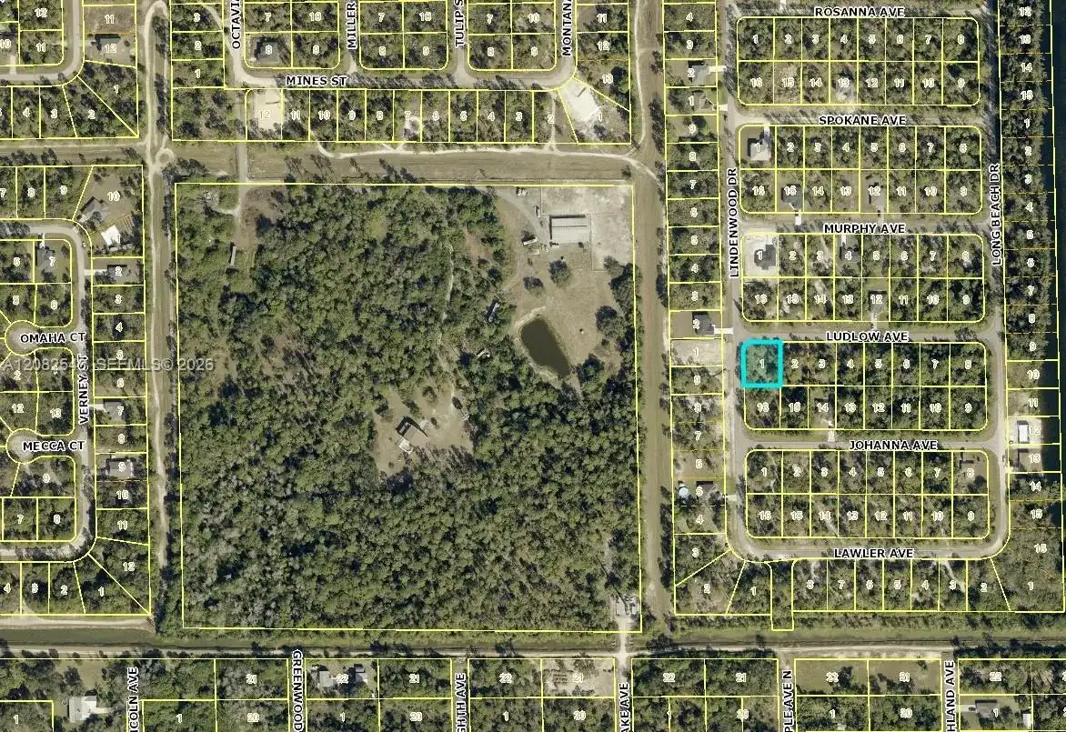315 LUDLOW AVENUE, Lehigh Acres FL 33972 photo 5