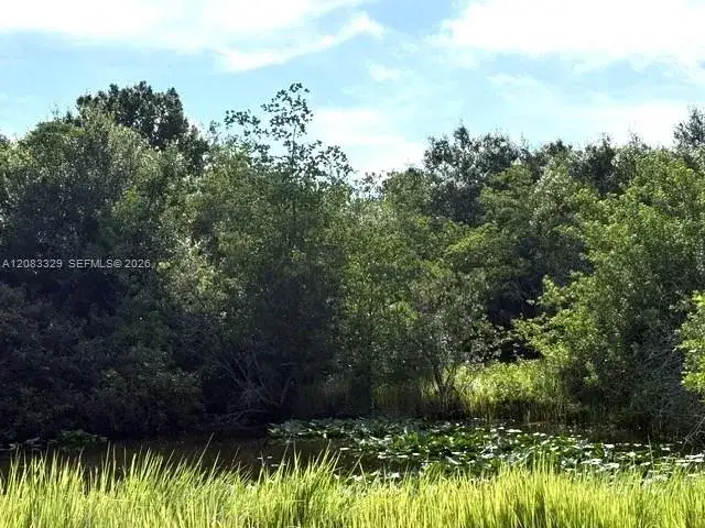 2524 Gem Stone Ave, Lorida FL 33857 photo 4